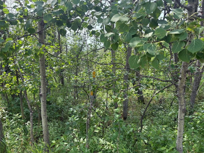 328 - 22113 TWP RD 440