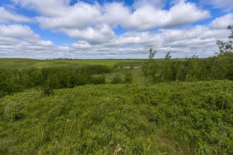 16, 30480 Range Road 12, Rural Mountain View County — interior photo
