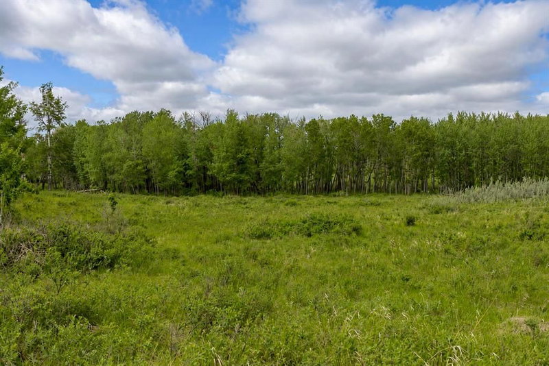 16, 30480 Range Road 12, Rural Mountain View County — interior photo 5