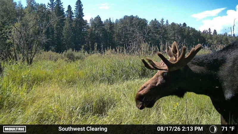 375012 Range Road 6-0
