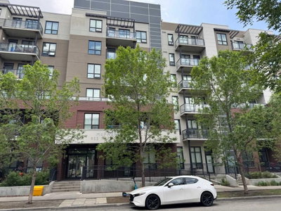 313 - 955 Mcpherson Road NE