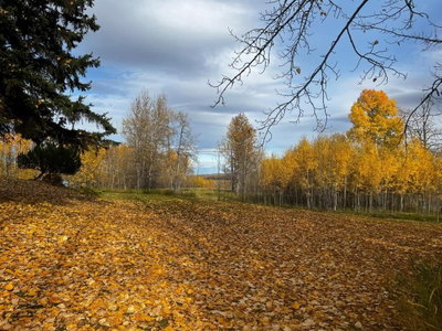 Lot 2 - 120053 Township Road 584