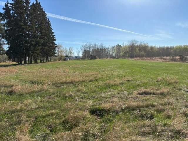 460021 RGE RD 241