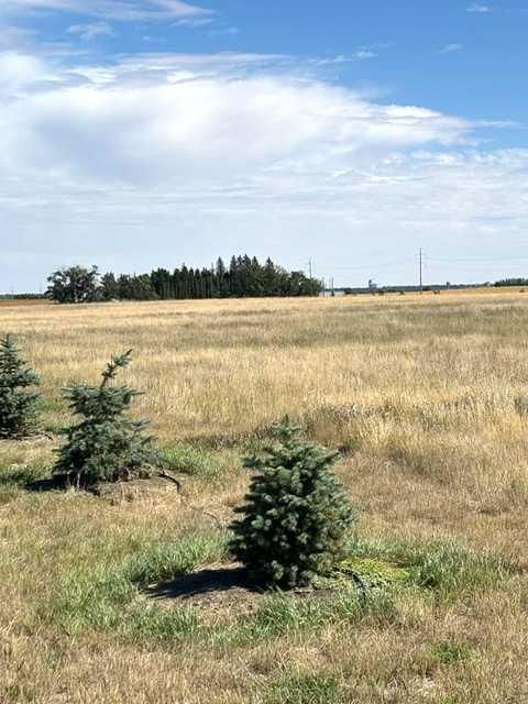 Near Coalhurst RR223