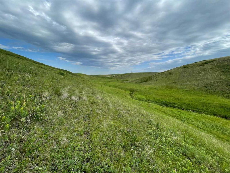 234 Range Road, Spring Coulee — listing photo 4