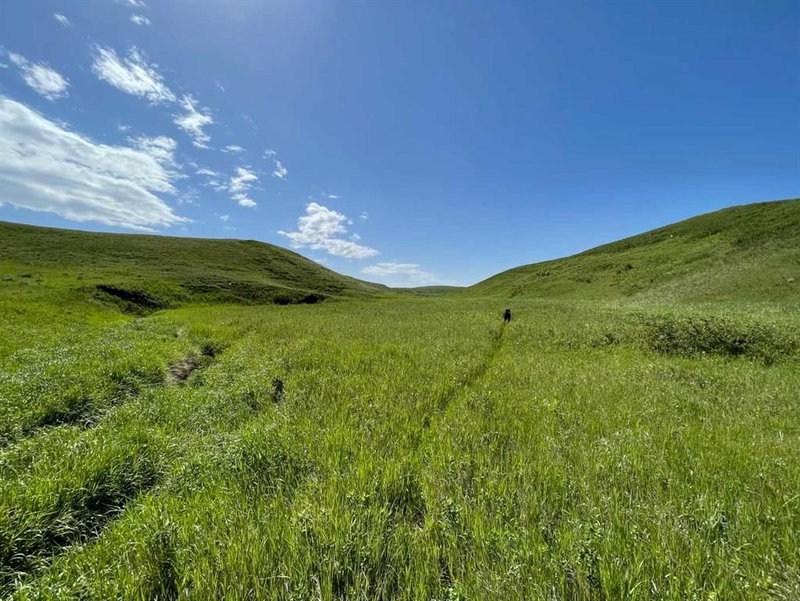 234 Range Road, Spring Coulee — listing photo 6