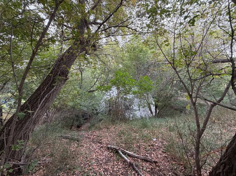 916 Newcastle Trail