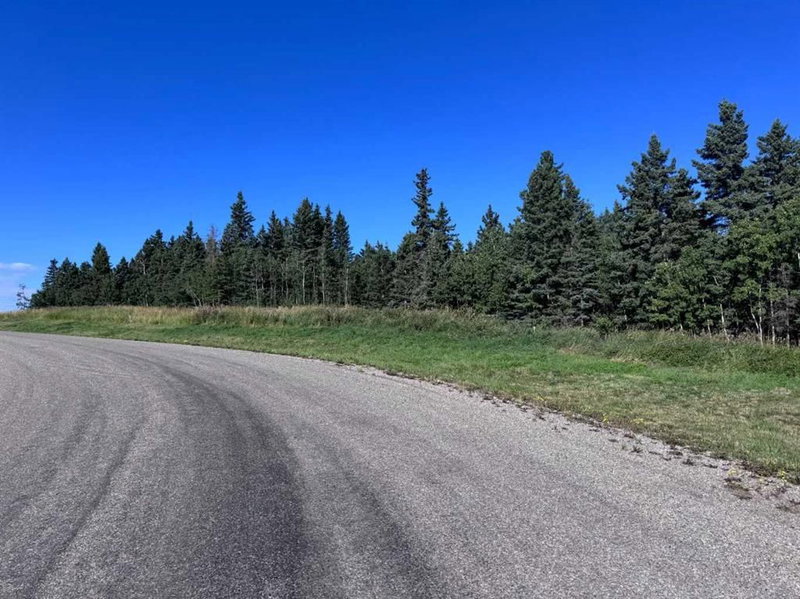 256132 Whiskey Springs Hill W, Rural Foothills County — interior photo 6