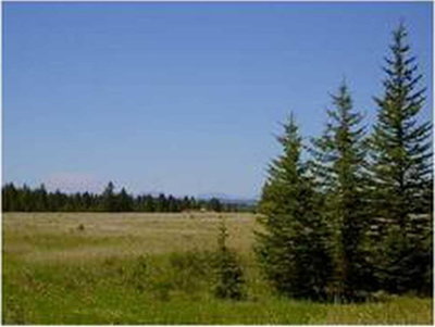 Range Road 55
