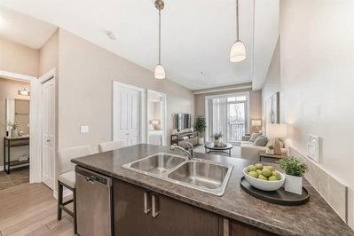 311 - 117 Copperpond Common SE