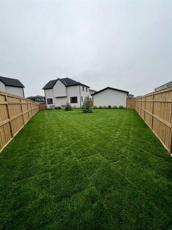 1125 Sailfin Heath