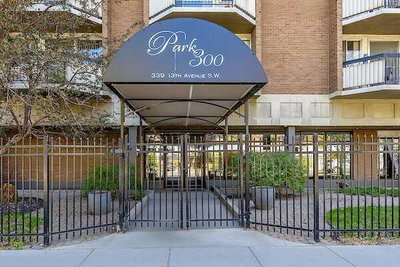 207 - 339 13 Avenue SW