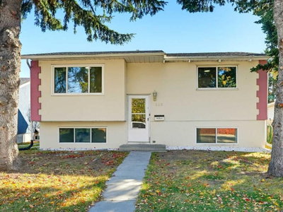 215 Rundlecairn Road NE