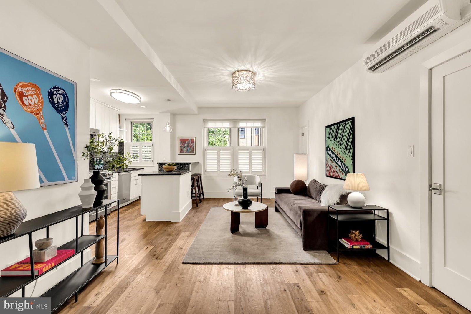1910 KALORAMA ROAD NW #302 photograph