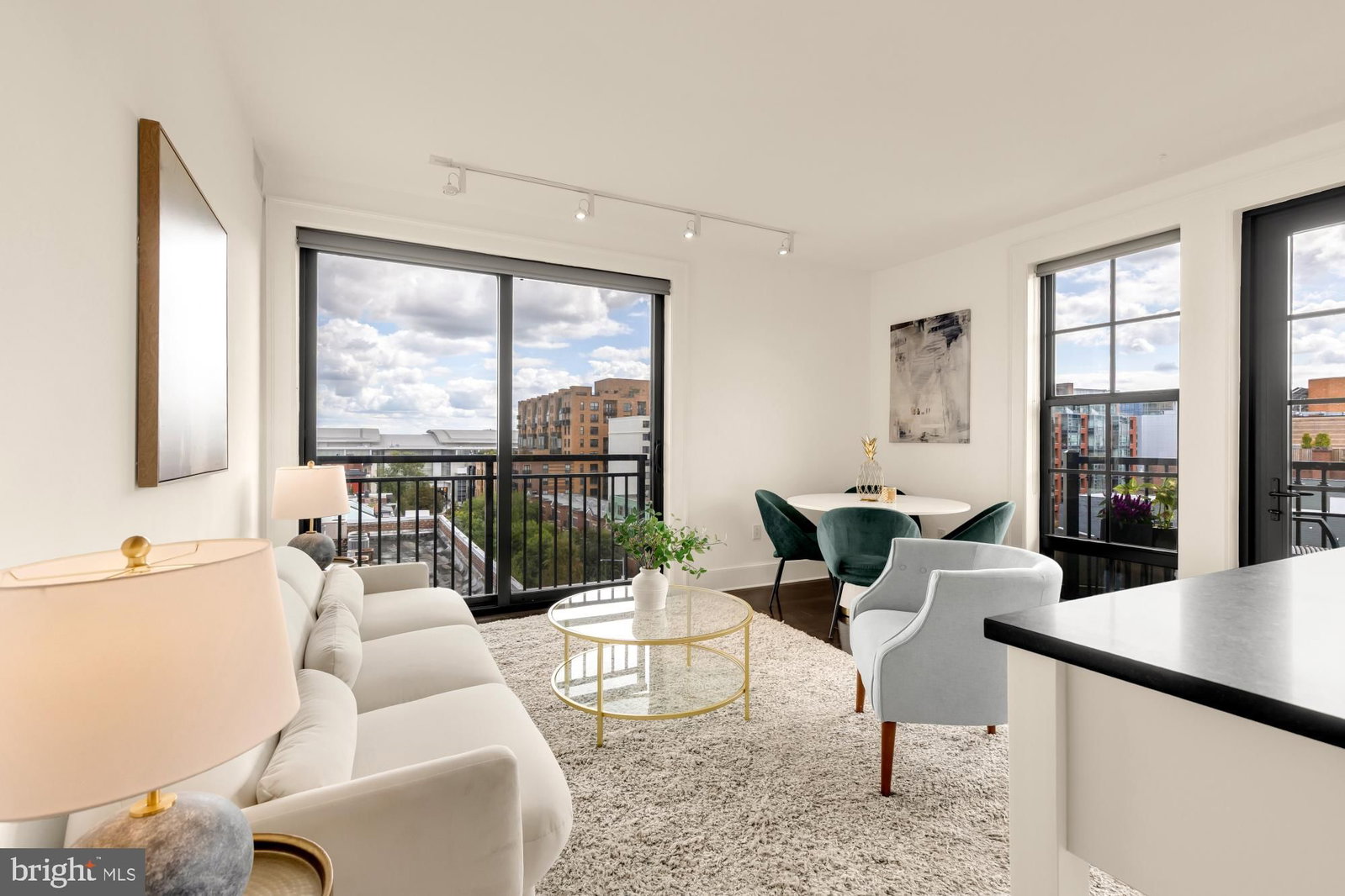 1011 M STREET NW #703 photograph