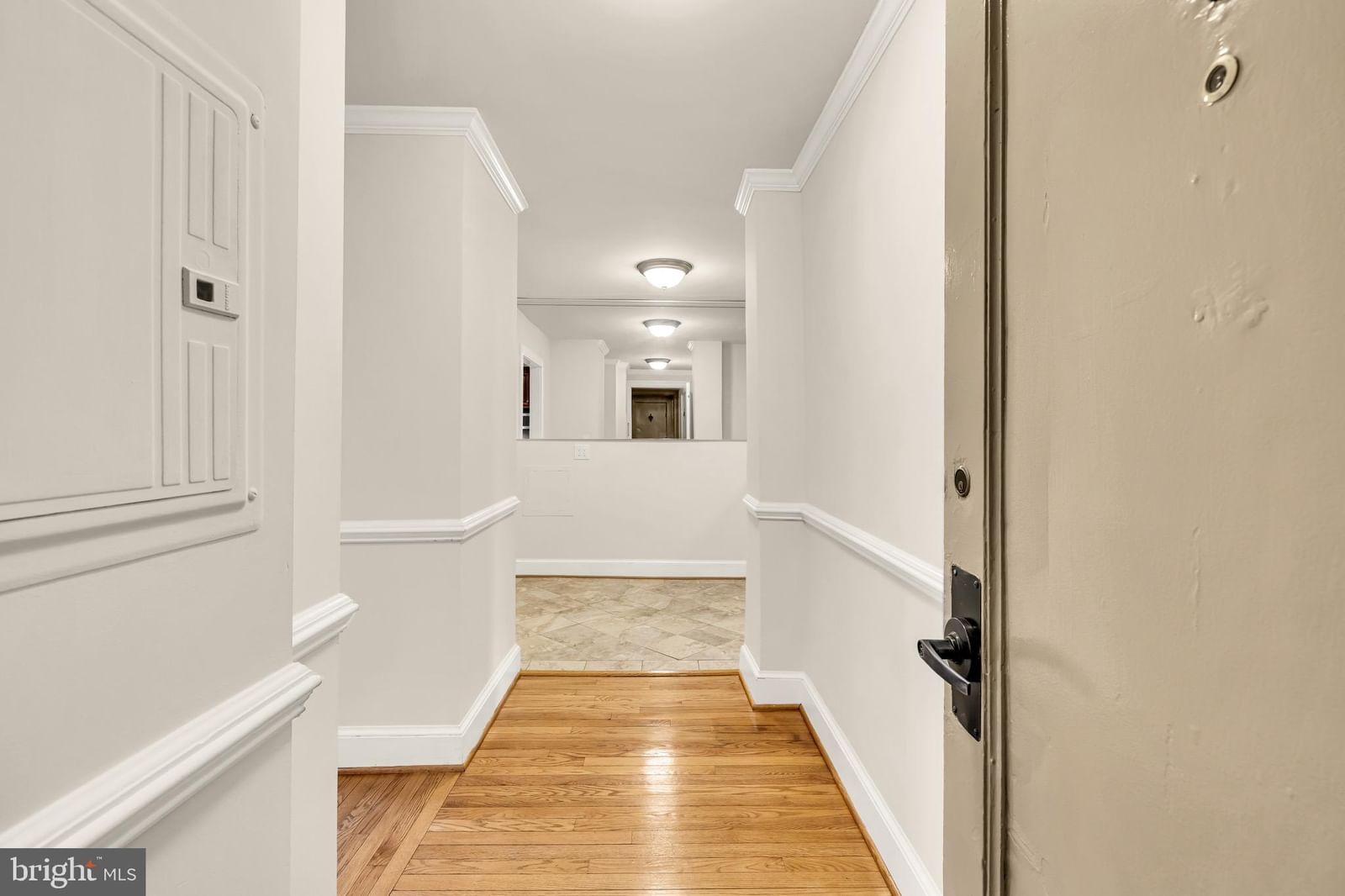 3100 WISCONSIN AVENUE NW #202 photograph