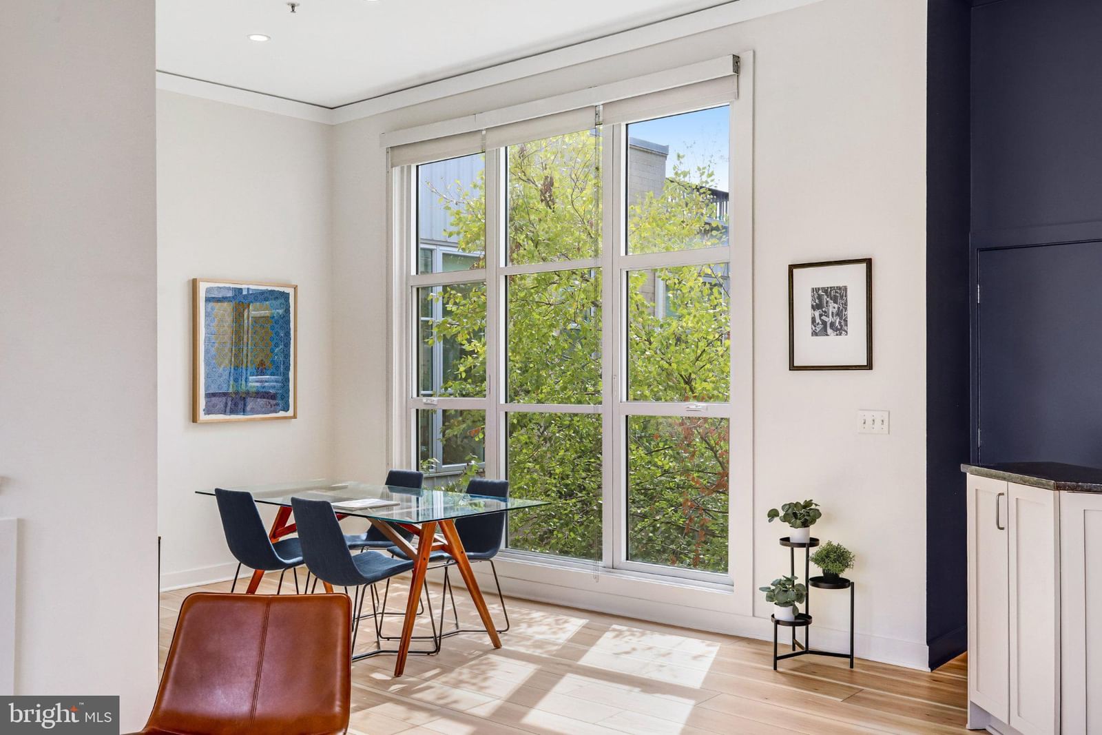 2380 CHAMPLAIN STREET NW #306 photograph