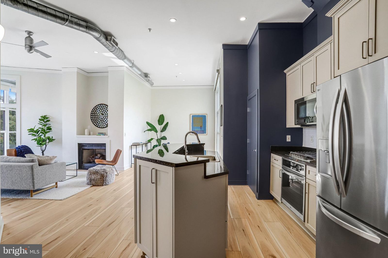 2380 CHAMPLAIN STREET NW #306 photograph