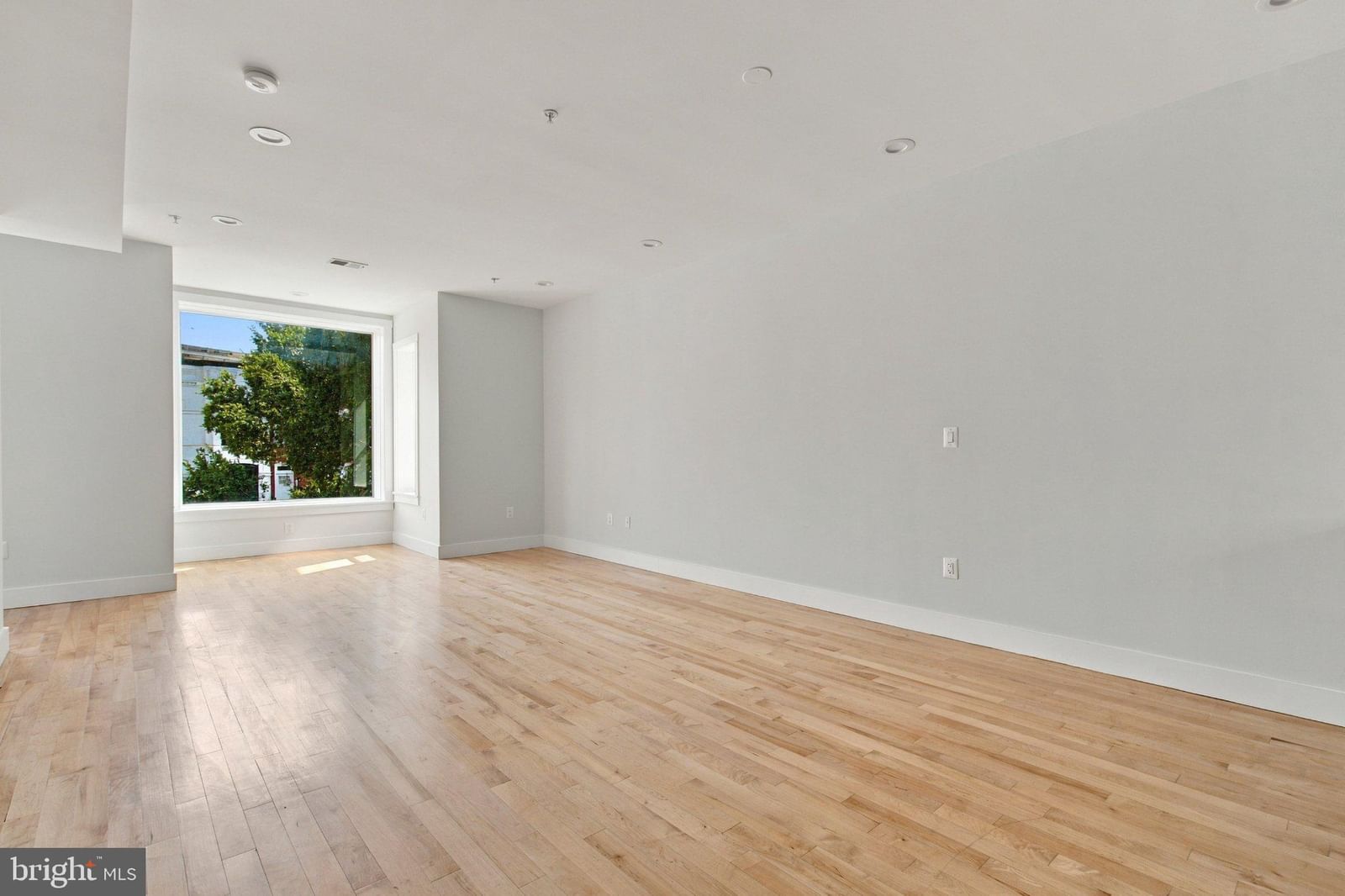 1510 6TH STREET NW #2 photograph