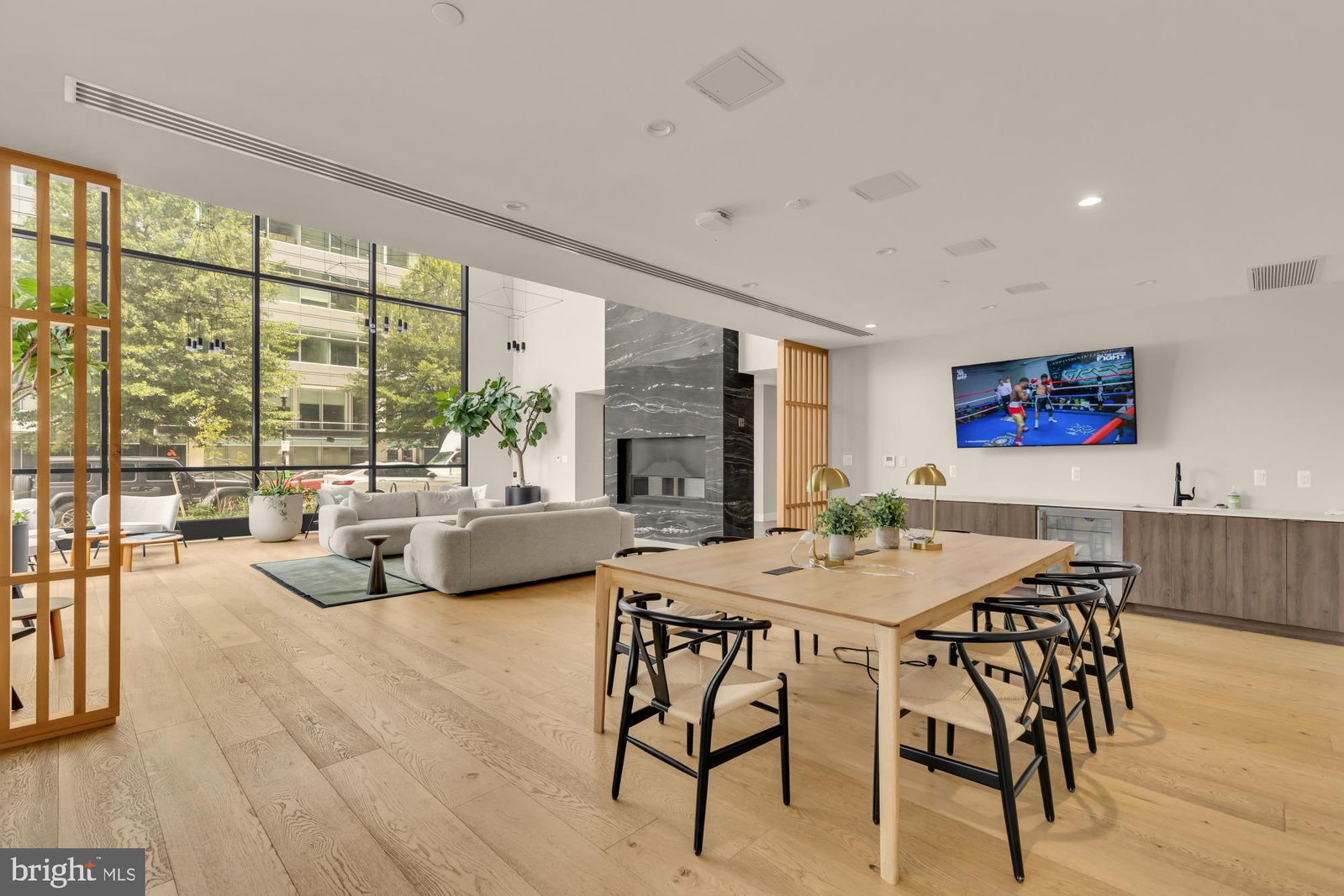 37 L STREET SE #1105 photograph