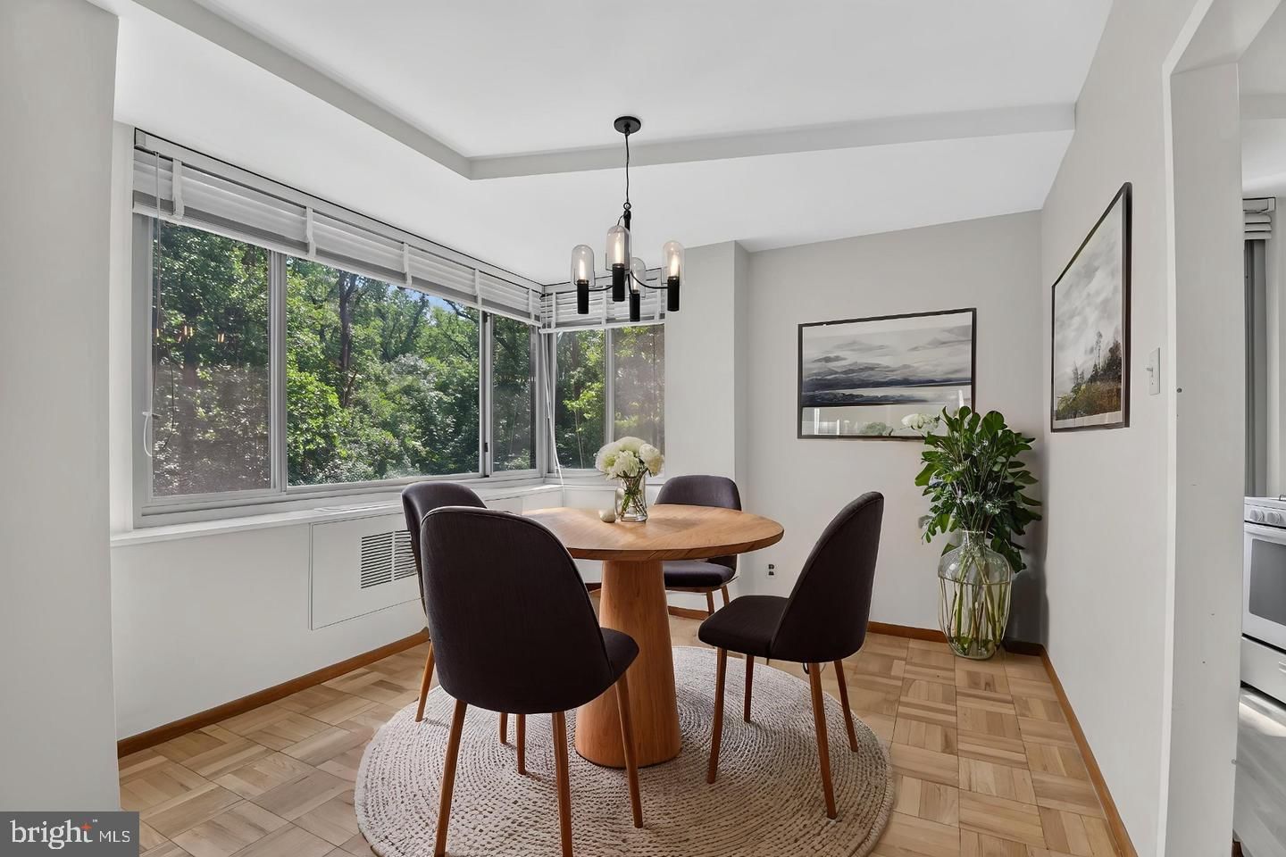 4200 CATHEDRAL AVENUE NW #312A photograph
