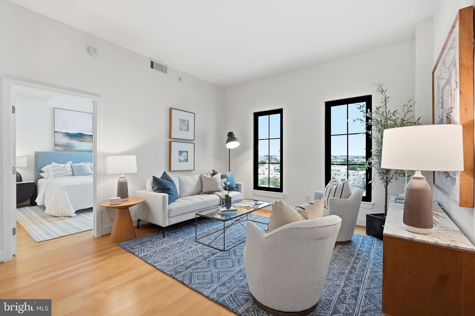 910 M STREET NW #1112 photograph