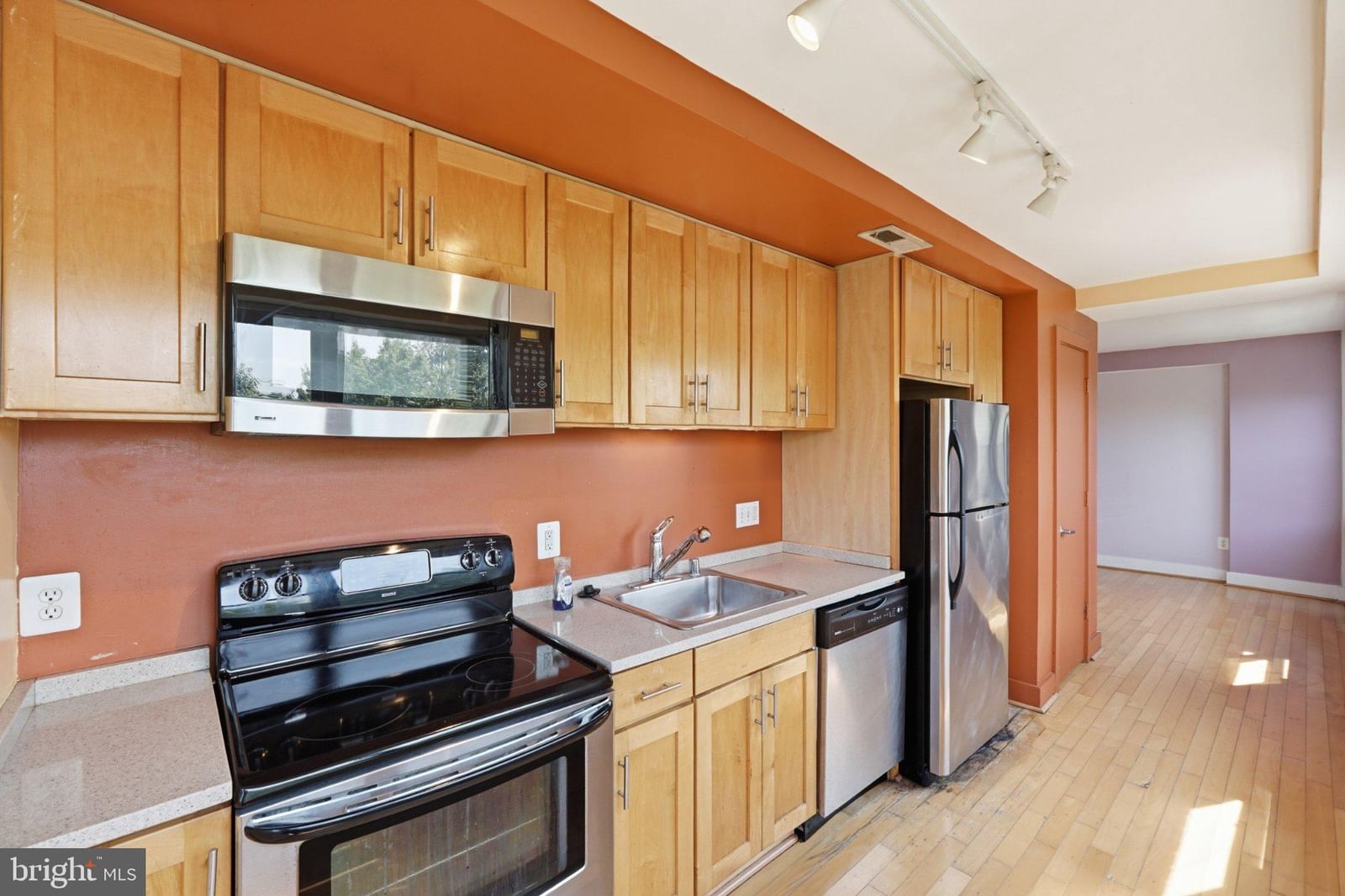 212 OAKWOOD STREET SE #315 photograph