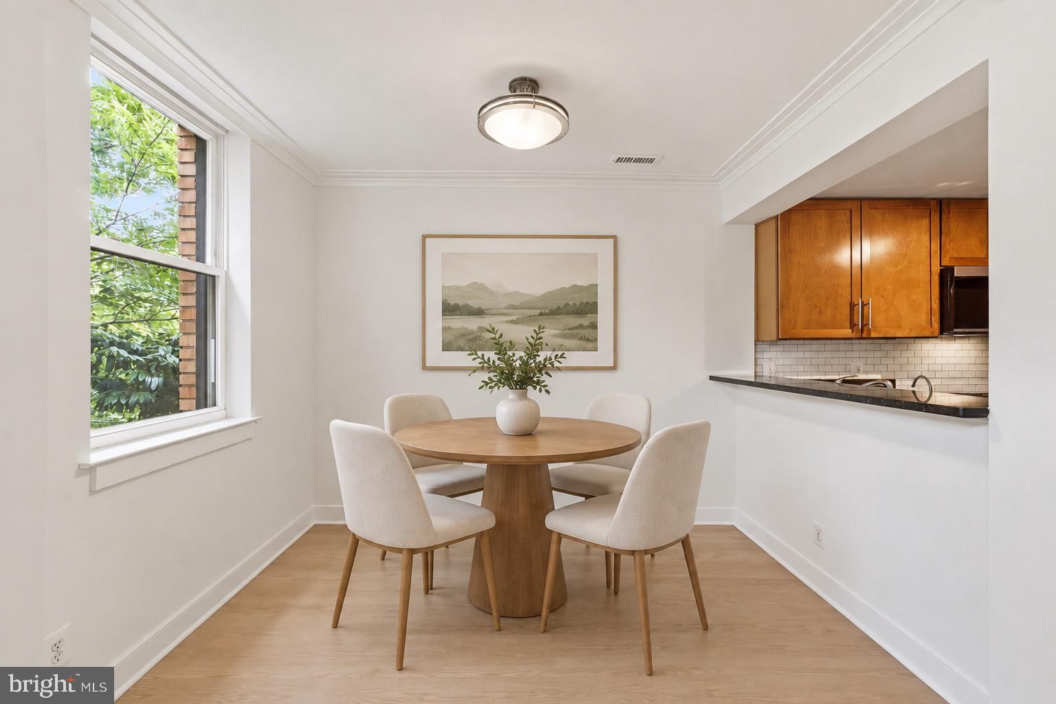 14 S STREET NE #302 photograph