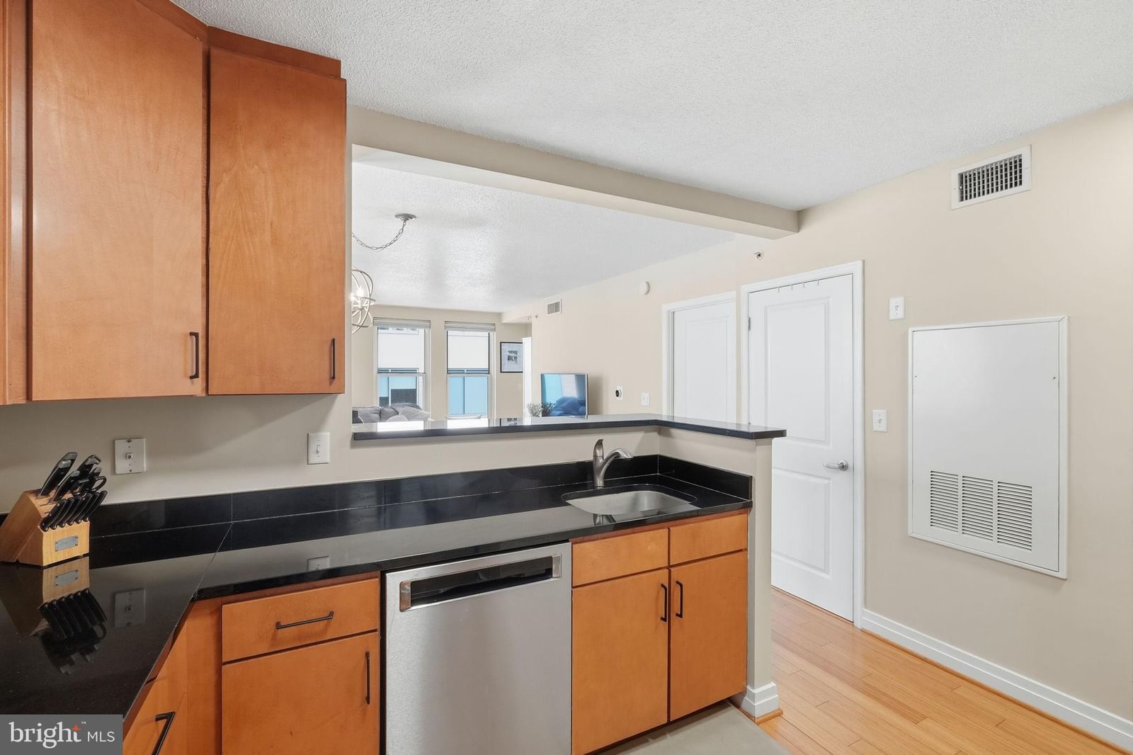 915 E E STREET NW #1101 photograph
