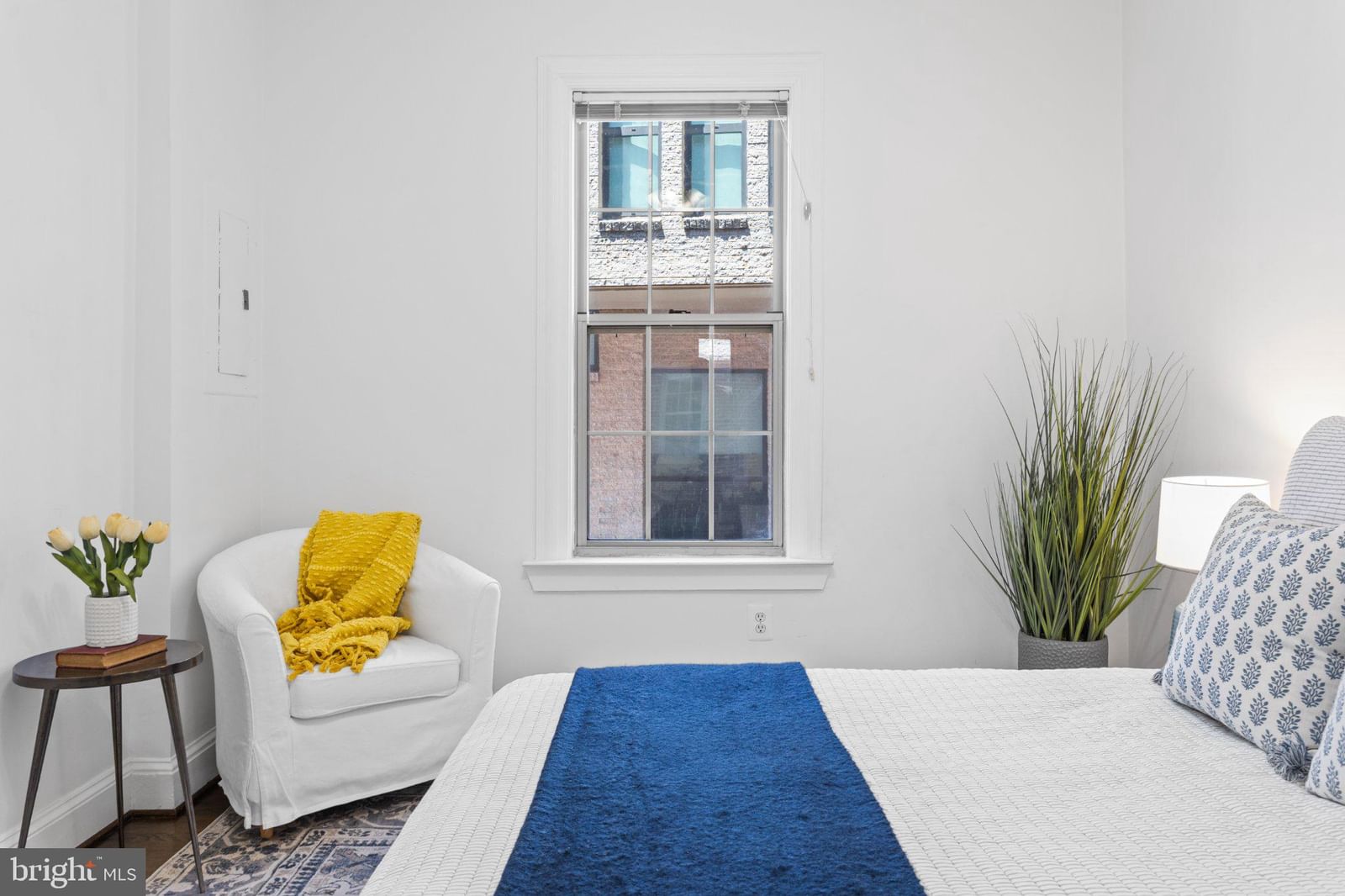 1401 COLUMBIA ROAD NW #310 photograph
