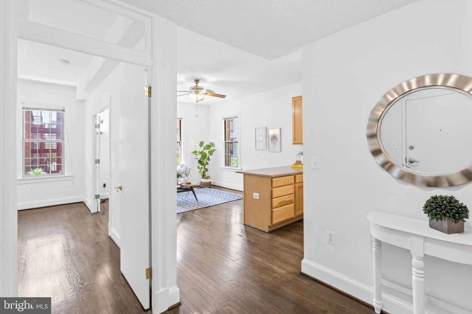 1401 COLUMBIA ROAD NW #310 photograph