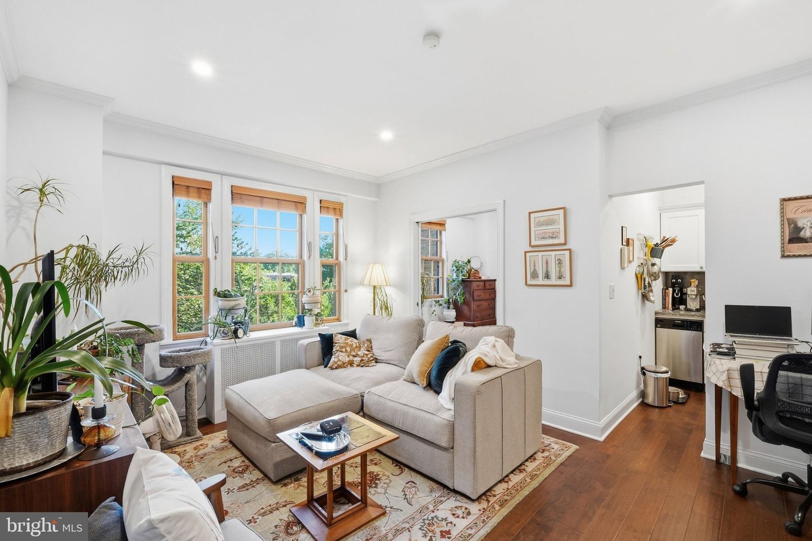 2032 BELMONT ROAD NW #403 photograph
