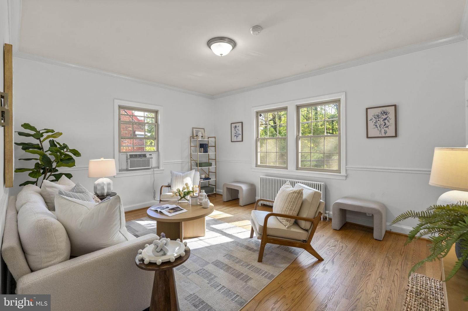 2514 41ST STREET NW #4 photograph