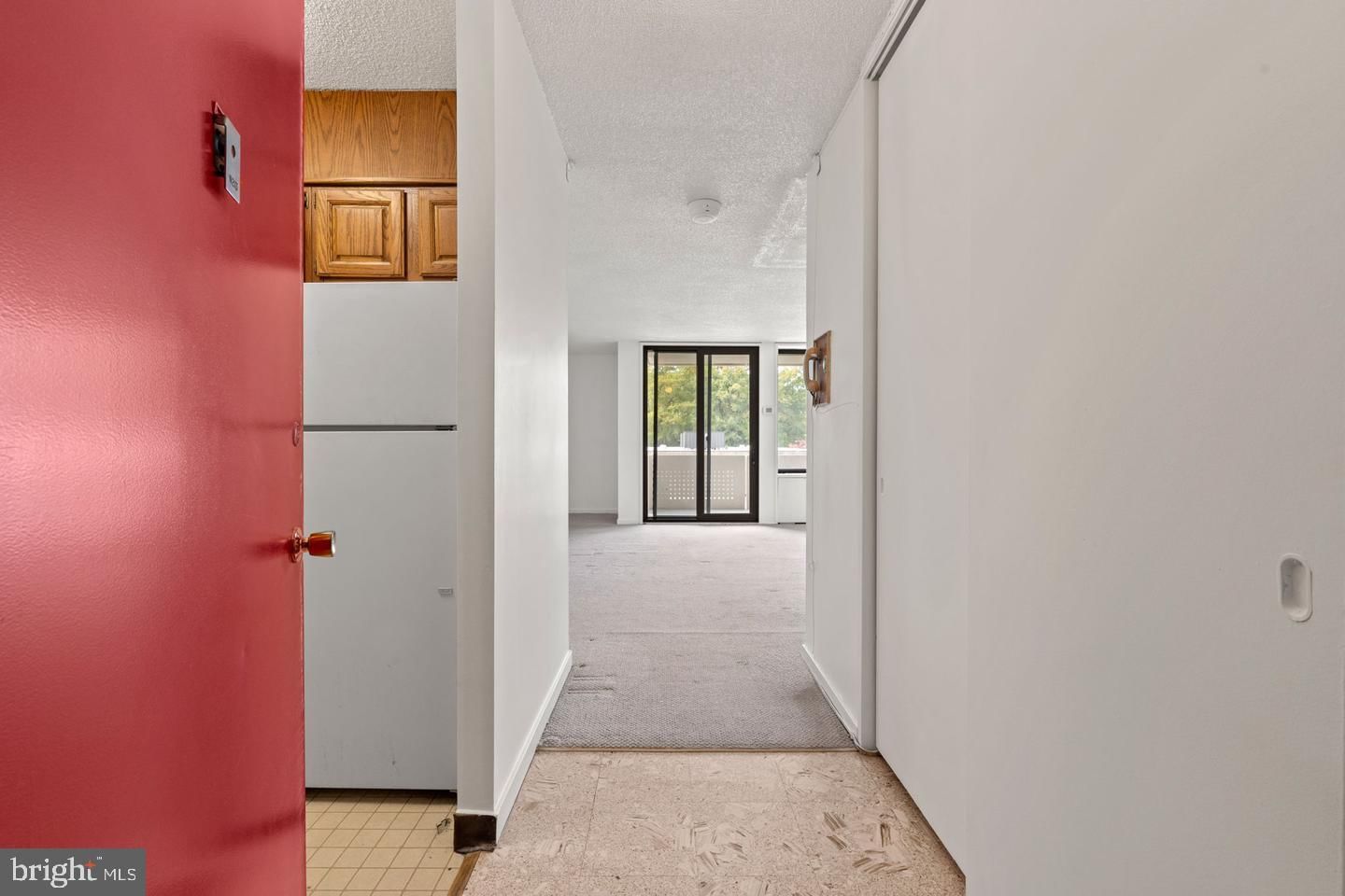 300 M STREET SW #N213 photograph