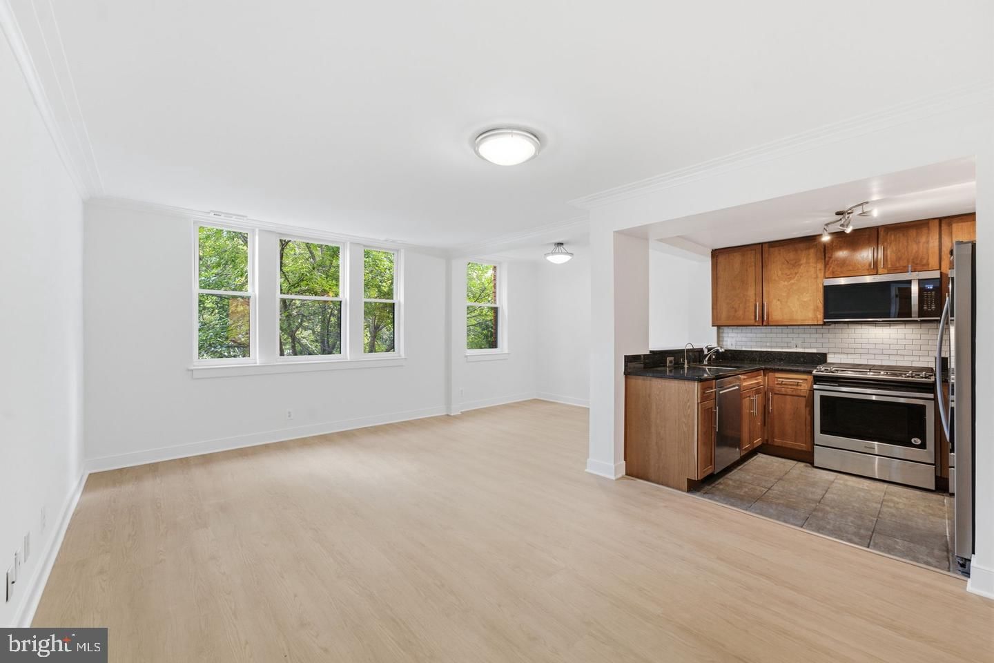 14 S STREET NE #302 photograph