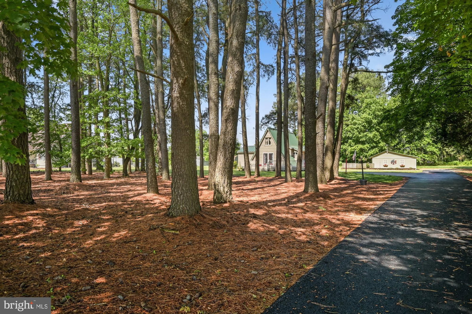 151 PEACH BASKET RD, FELTON 19943, DE