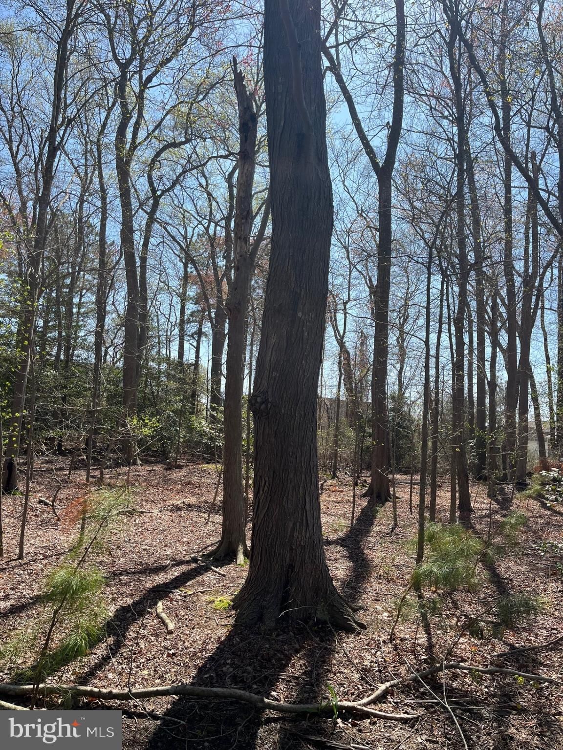 Lot 22 PINE GROVE LN, OCEAN VIEW 19970, DE