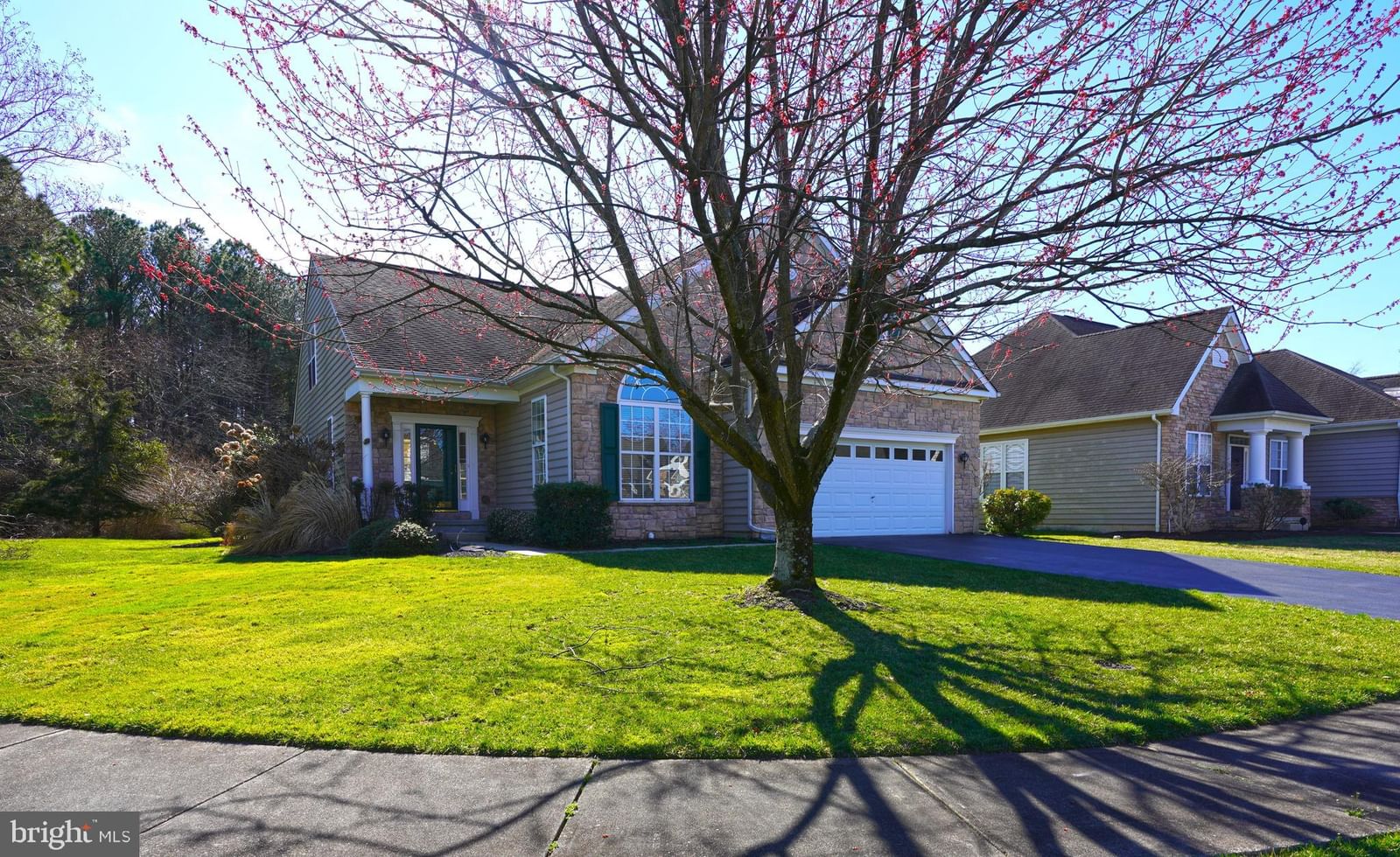 35642 ATLAS CT, REHOBOTH BEACH 19971, DE
