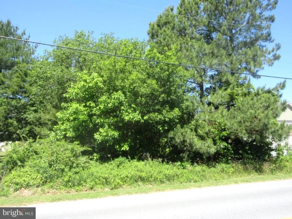 LOT 20 CALLAWAY AVE, SEAFORD 19973, DE