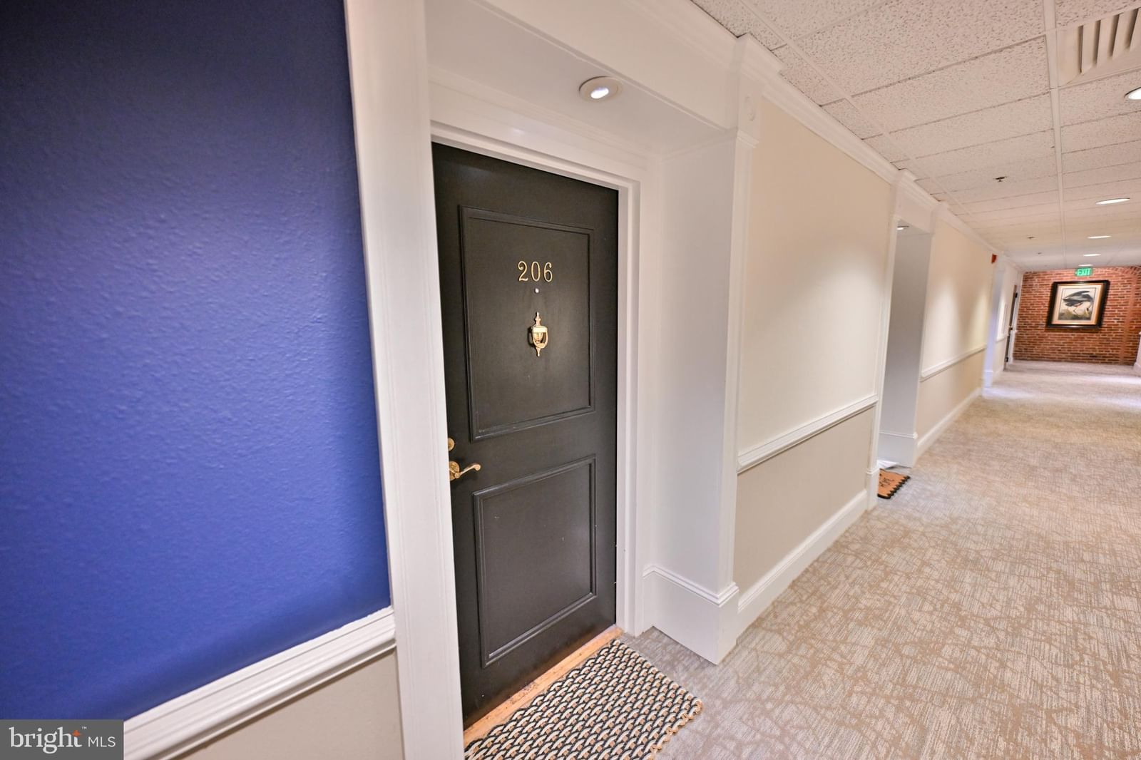 1000 FELL STREET #206 photograph
