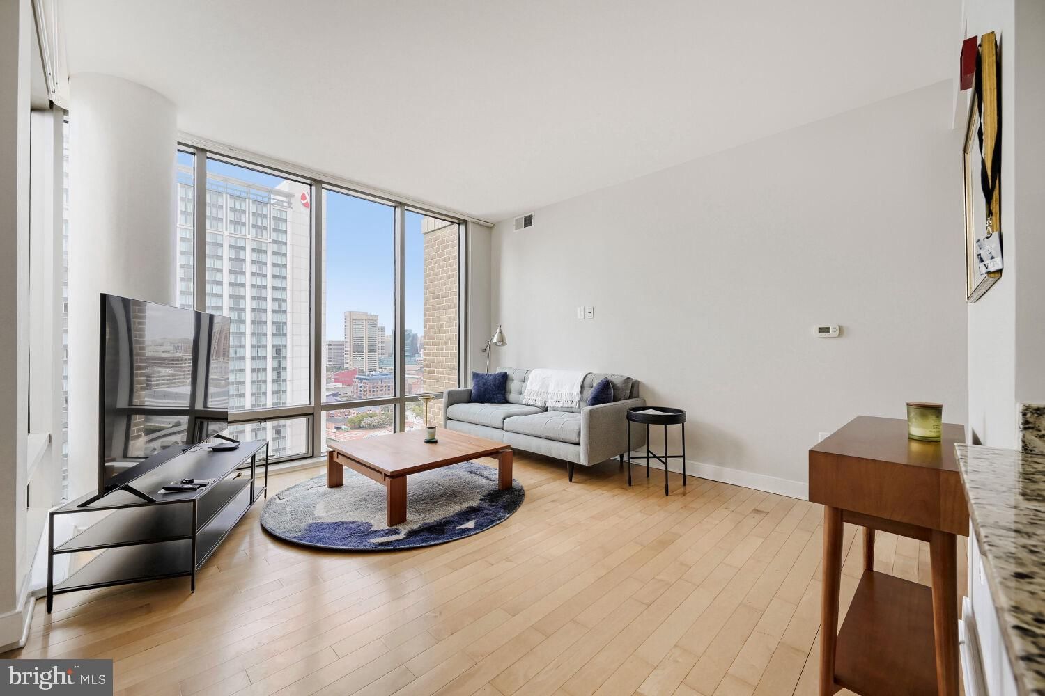 675 PRESIDENT STREET #2202 photograph