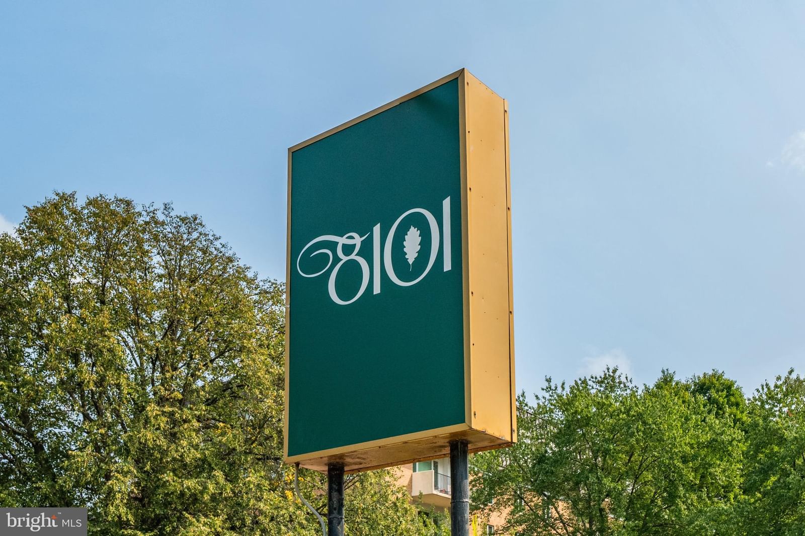 8101 CONNECTICUT AVENUE #N109 photograph
