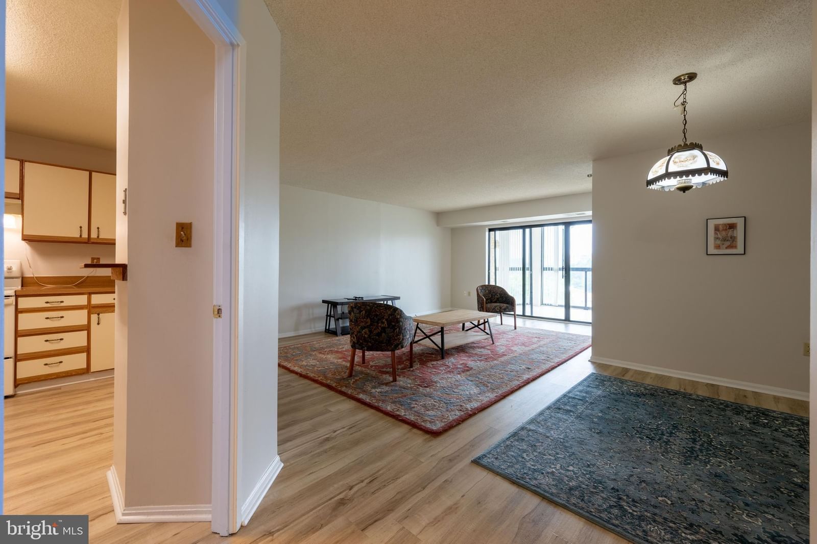 15101 INTERLACHEN DRIVE #1-924 photograph