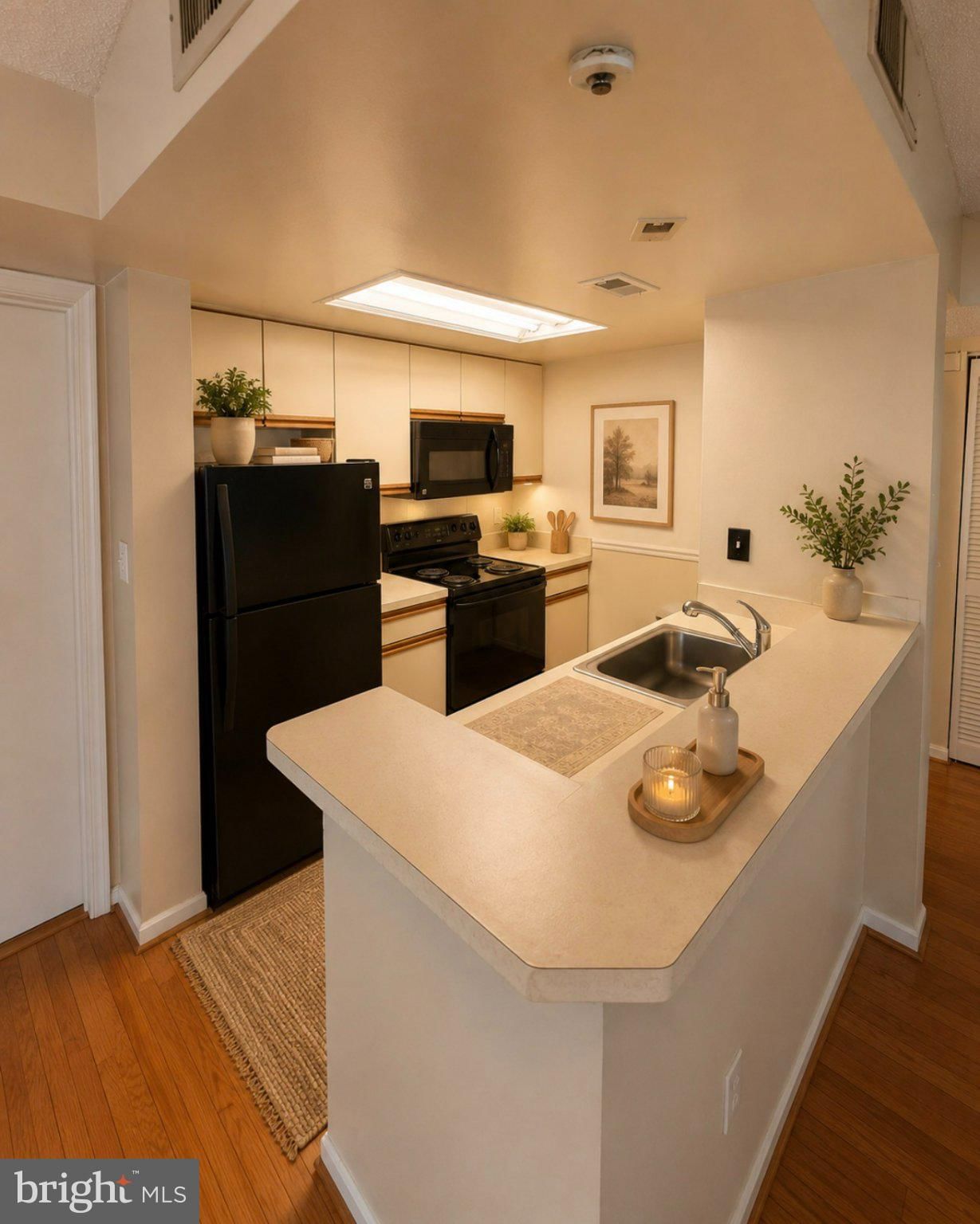 10510 BEACON RIDGE DRIVE #14-202 photograph