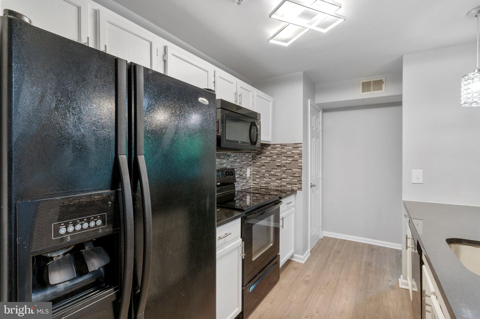 9720 LAKE POINTE COURT #204 photograph