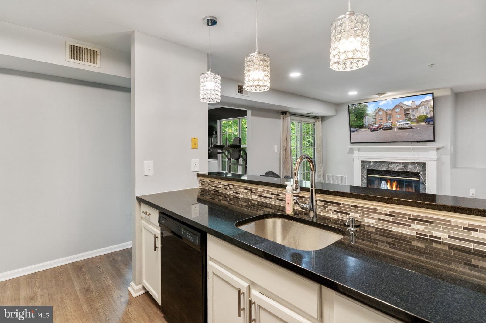 9720 LAKE POINTE COURT #204 photograph