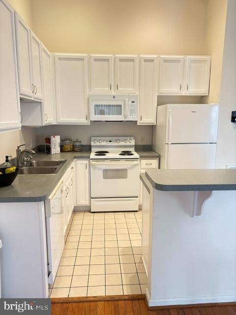 114 MERGANSER COURT photograph