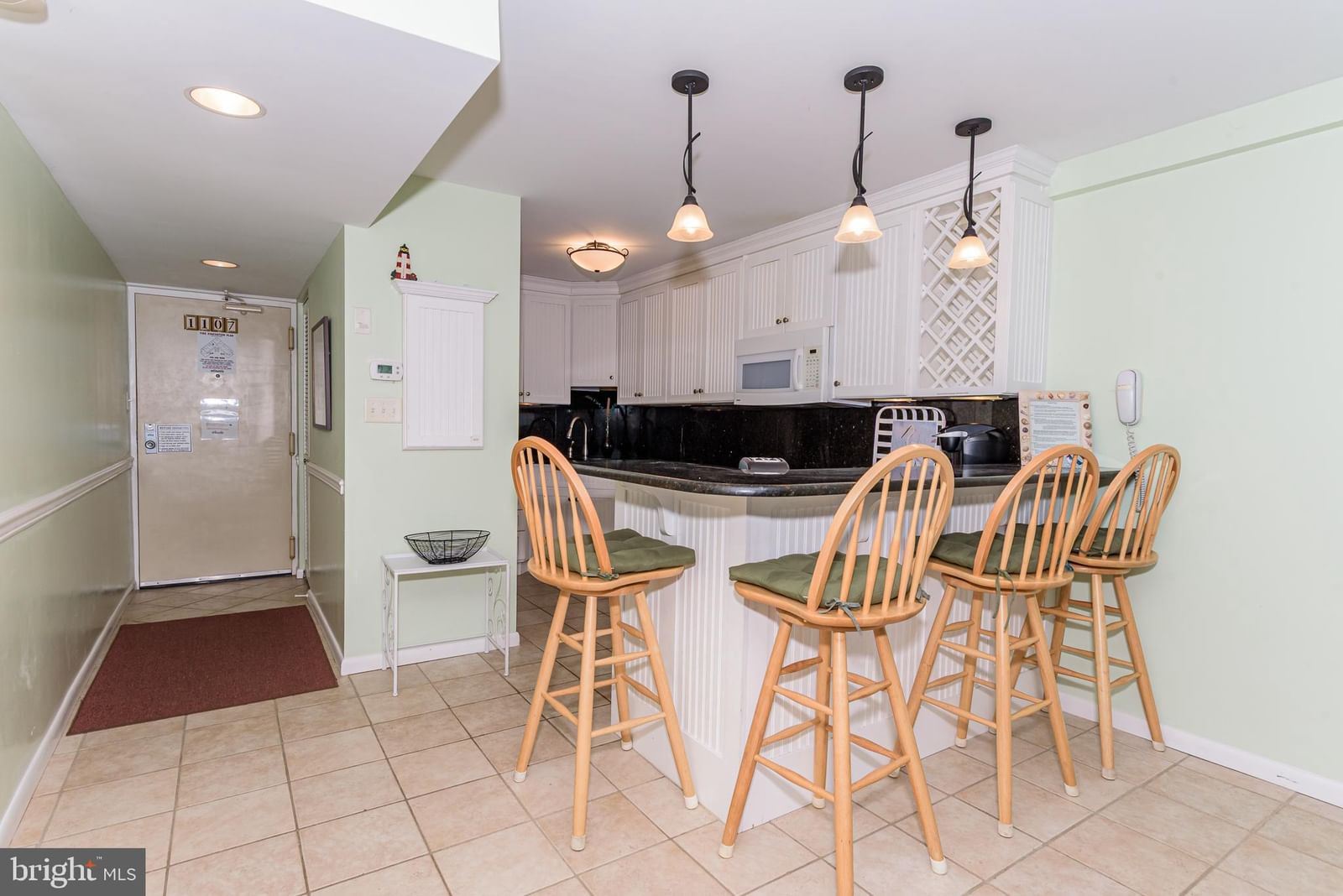 10300 COASTAL HIGHWAY #1107 photograph