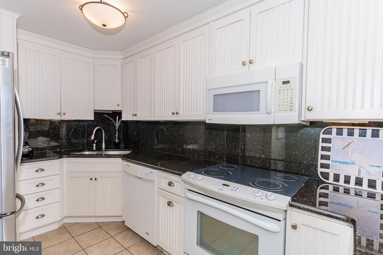 10300 COASTAL HIGHWAY #1107 photograph