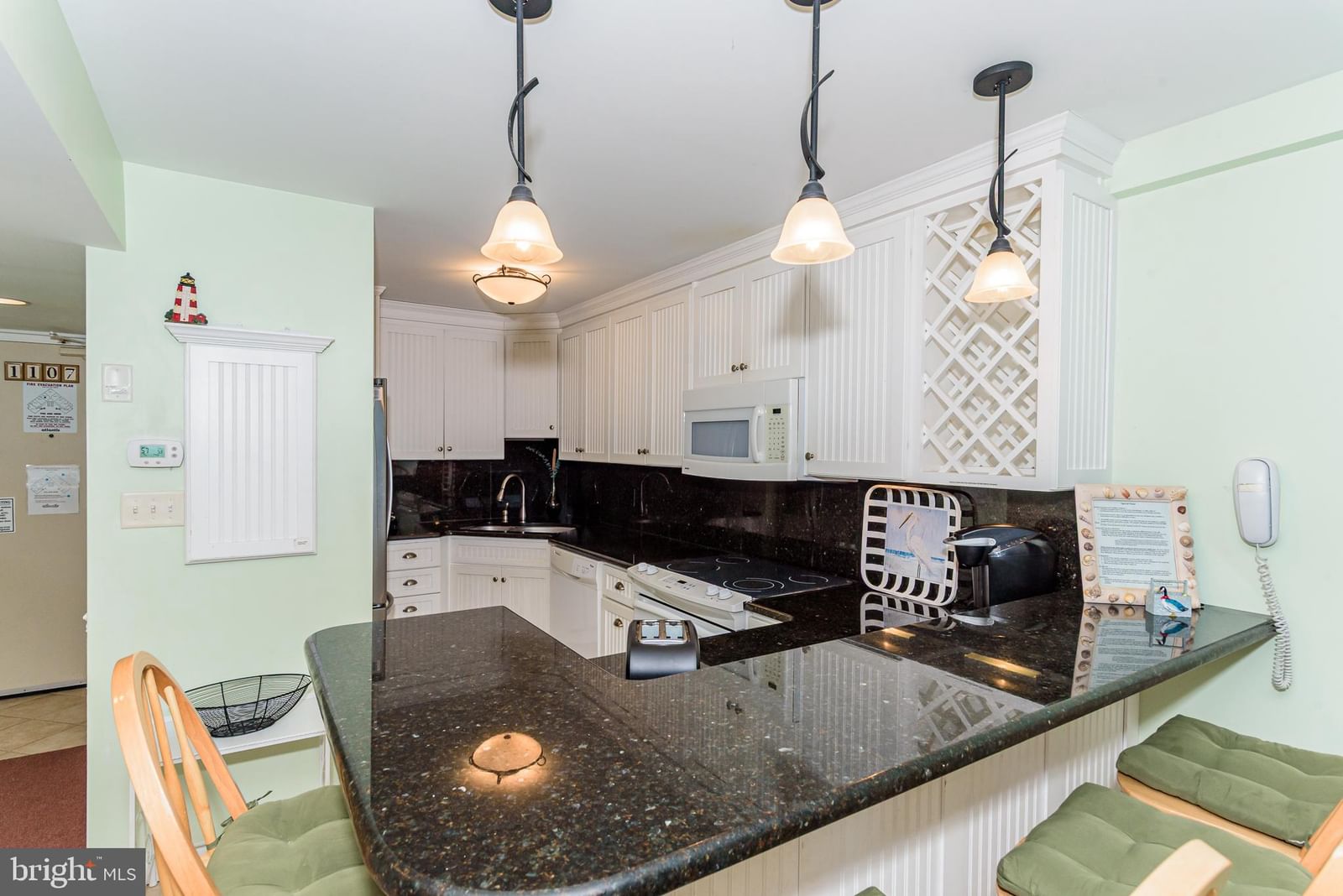 10300 COASTAL HIGHWAY #1107 photograph